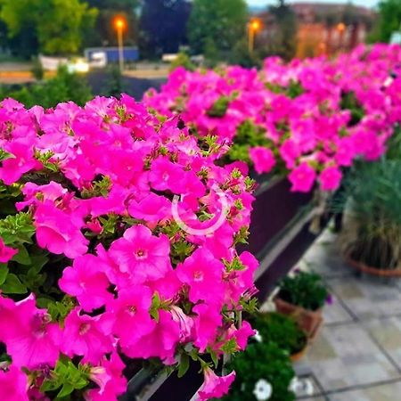 Hotel Zaulek Olszyna  エクステリア 写真